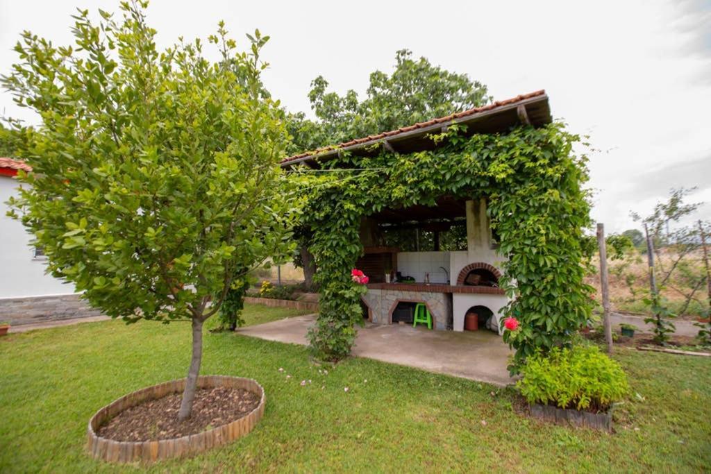 Agrampeli Villa Ierissos Exterior photo